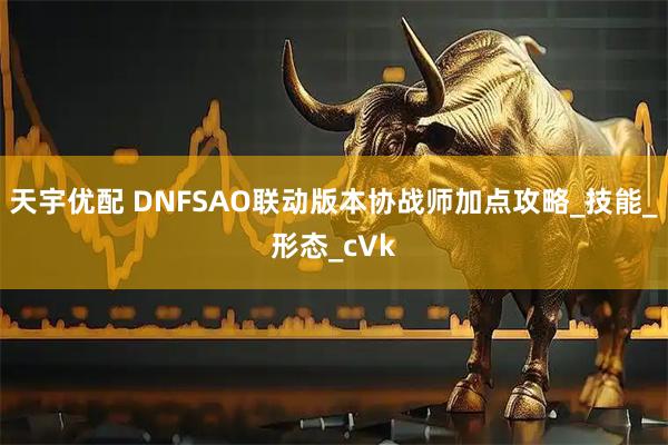天宇优配 DNFSAO联动版本协战师加点攻略_技能_形态_cVk