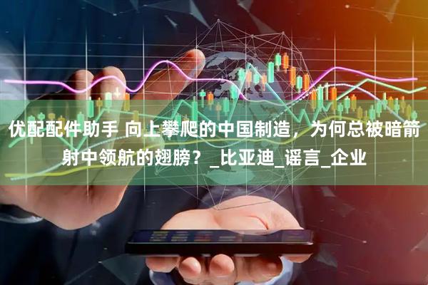 优配配件助手 向上攀爬的中国制造，为何总被暗箭射中领航的翅膀？_比亚迪_谣言_企业