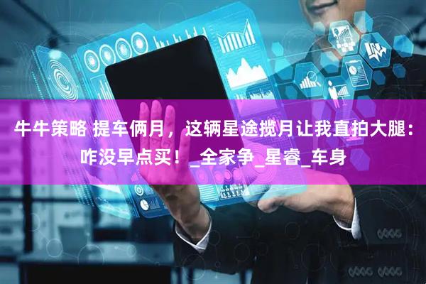 牛牛策略 提车俩月，这辆星途揽月让我直拍大腿：咋没早点买！_全家争_星睿_车身