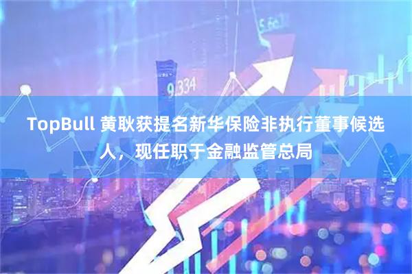 TopBull 黄耿获提名新华保险非执行董事候选人，现任职于金融监管总局
